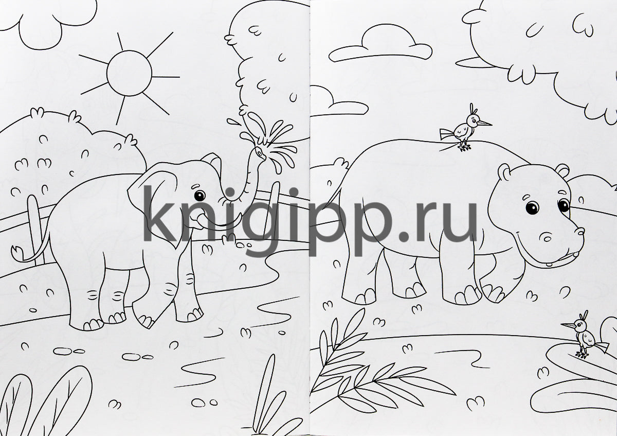 РАСКРАСКА А4 эконом. КТО ЖИВЕТ В ЗООПАРКЕ?