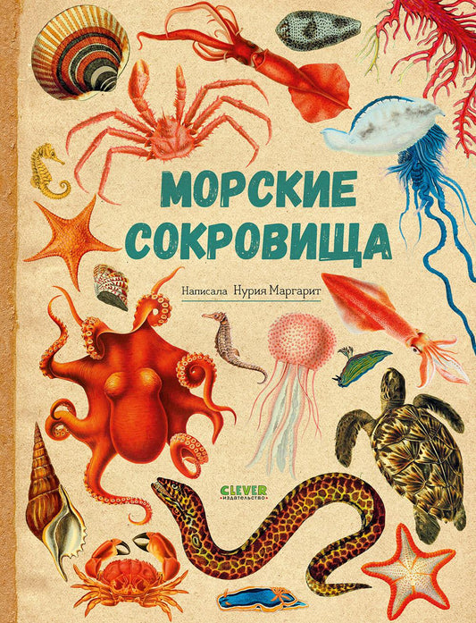 Удивительные энциклопедии. Морские сокровища/Сория К.
