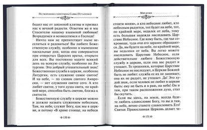 Мир души. По творениям схиигумена Саввы (Остапенко)