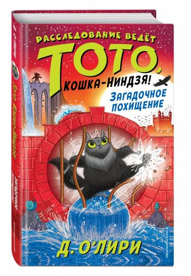 Загадочное похищение (выпуск 4)