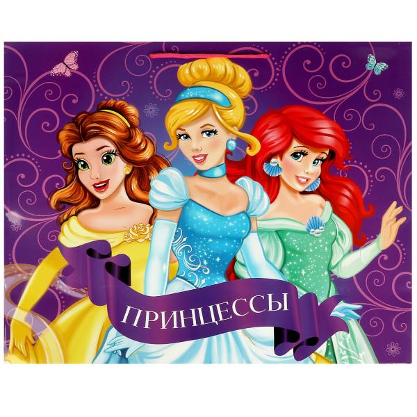 Paquet de glaçons xxl,princesses,190 gr/m2 ЧУДО ПРАЗДНИК в кор.5*12шт