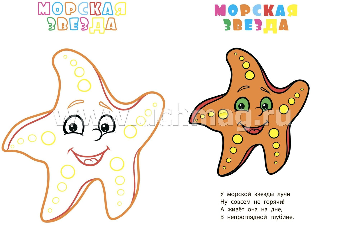Книжка-раскраска "В море (с вырубкой)". 12 pièces.