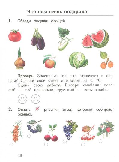 *Окружающий мир. Тетрадь для проверочных работ. 1 cl. Рабочая тетрадь №1. Article 1