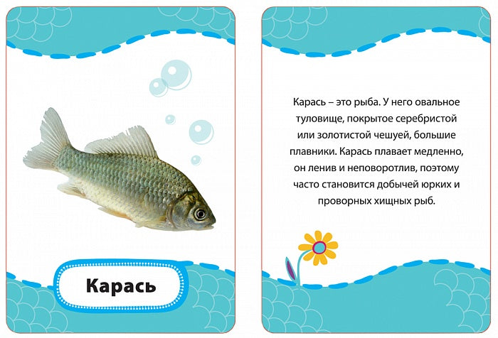 Qu'est-ce que c'est ? (Разв. карточки 3+)