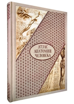 Атлас анатомии человека. Все органы человеческого тела. Большая коллекция