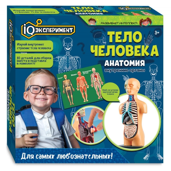 Jouer sur le thème IQ, exemple en cor.2*48шт