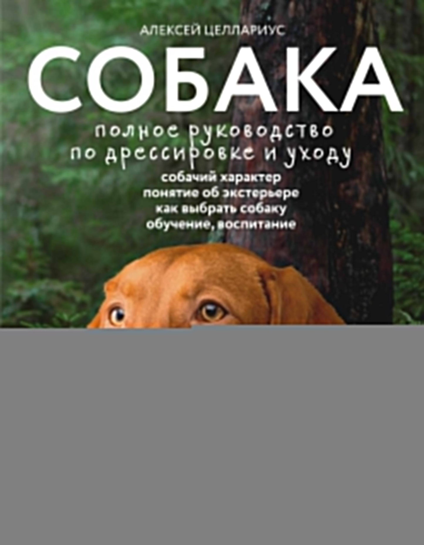 Собака. Полное руководство по дрессировке и уходу