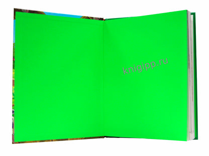 СОЛНЦЕ В ГОРОХ. Приключения Антошки и Костика, глянц.ламин 172х220