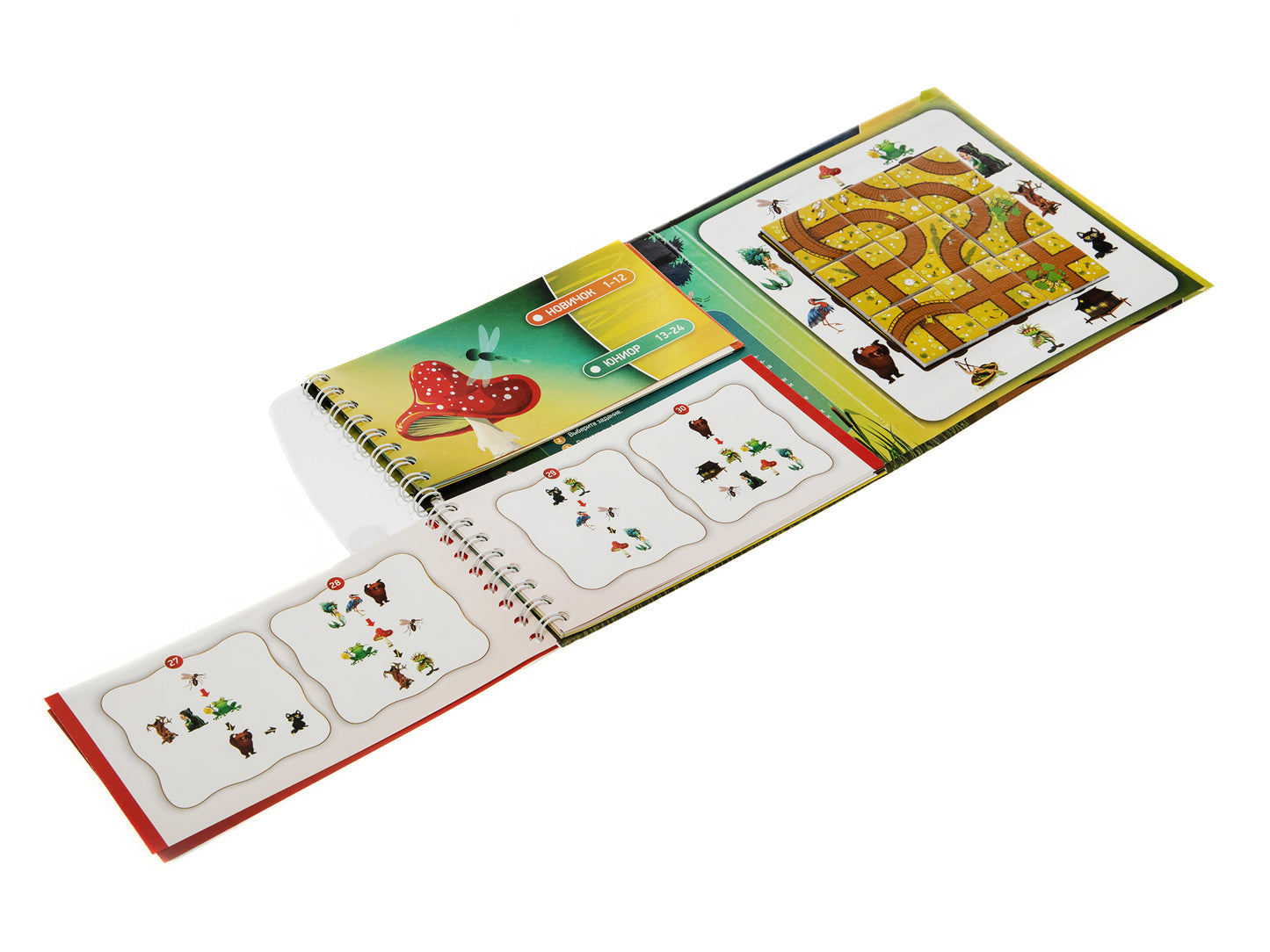 Игра магнитная головоломка "Десятое королевство. Загадки болота"