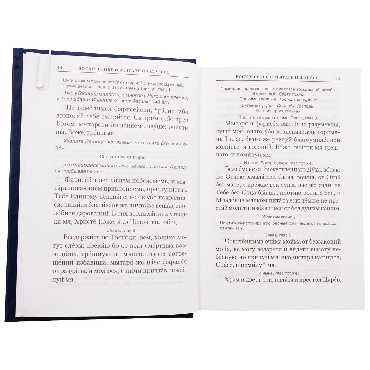 Богослужения Триоди Постной. 3-е изд., испр