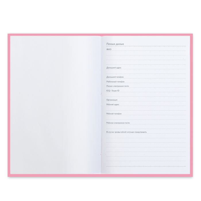 Записная книжка 96л,А6+,СЕРЕБРЯНЫЕ КАКТУСЫ,47888