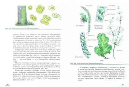 Пасечник. Биология. 5 кл. Бактерии, грибы, растения. Учебник. ВЕРТИКАЛЬ. (ФГОС).