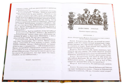 Ревизор: комедия в пяти действиях