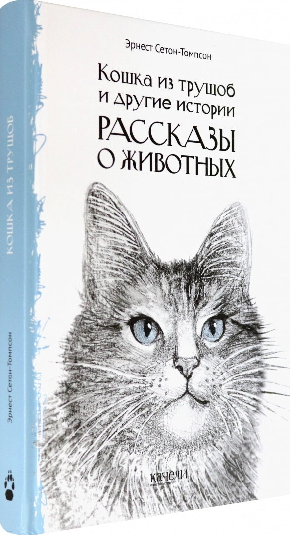 Кошка из трущоб и другие истории