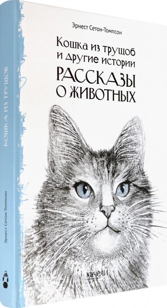 Chat de truchob
