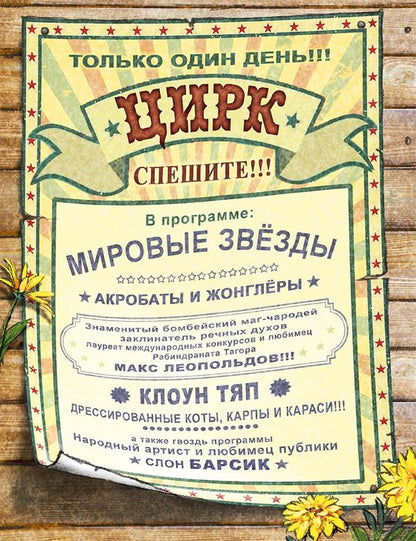 Zenuk. Цирк и не только