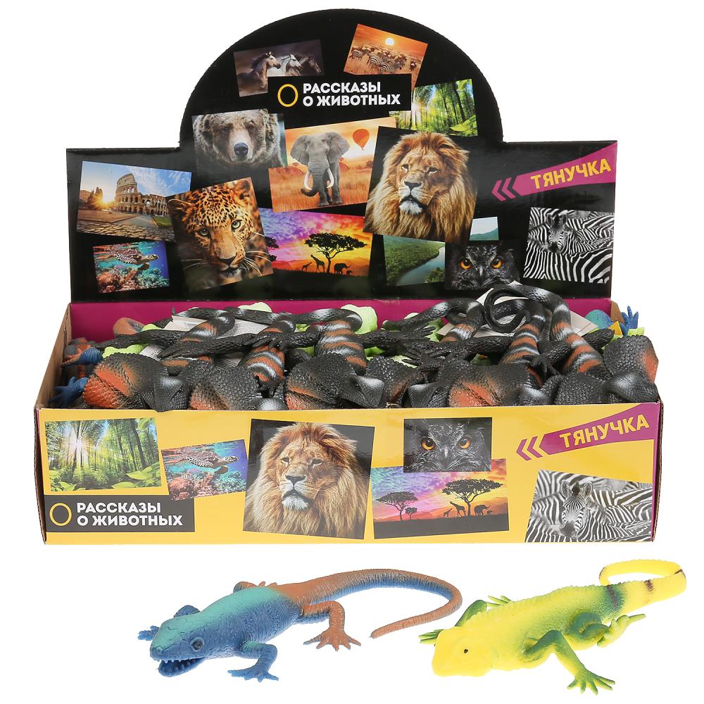 Jeu de plastique en plastique pour jeu de rôle, 20-26 cm, 6 pouces, 48 pouces/disque