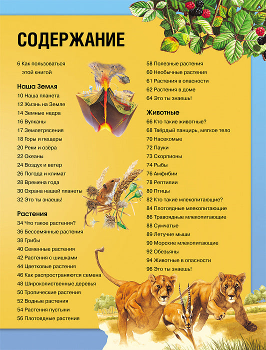 Энциклопедия необходимых знаний