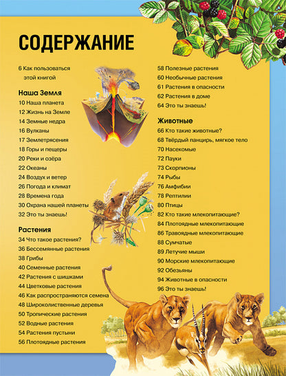 Энциклопедия необходимых знаний