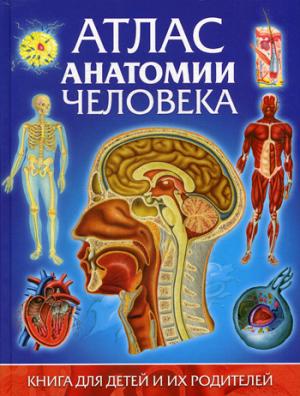 Атлас анатомии человека. Книга на детей и их родителей