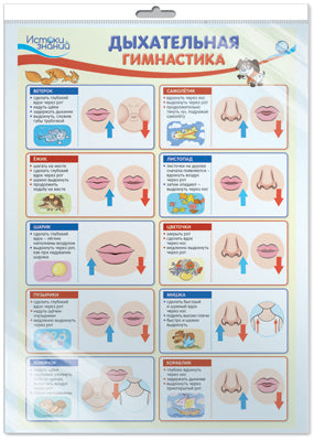 *ПО-14552 ПЛАКАТ А3 В ПАКЕТЕ. Gymnase double (dans l'enceinte individuelle, avec l'Europe et les grands clubs)