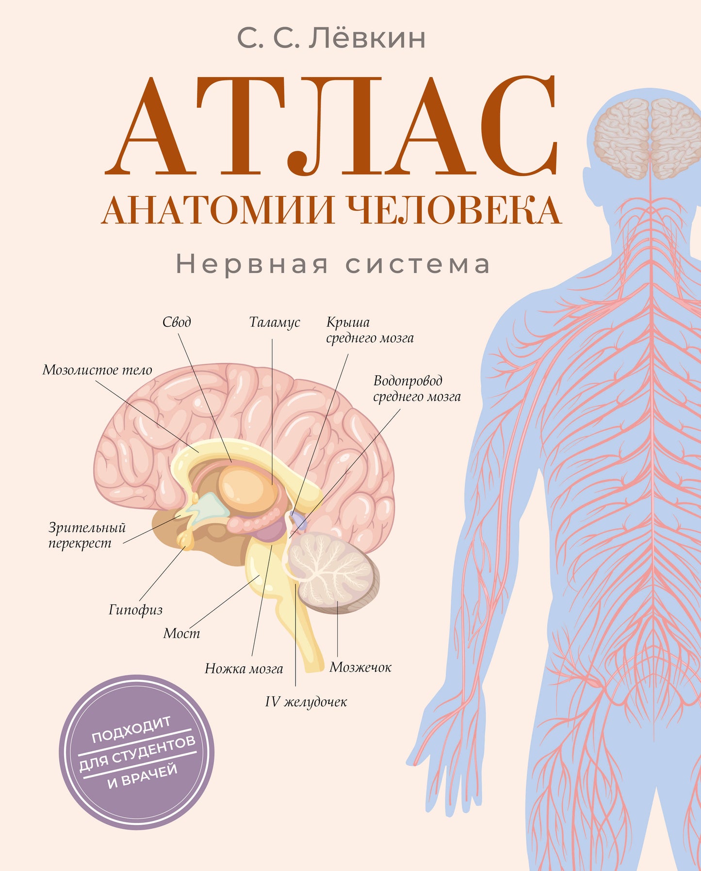 Атлас анатомии человека. Нервная система