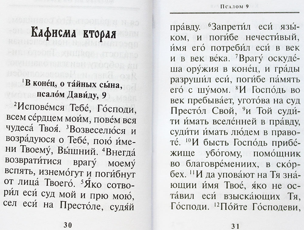 Псалтирь Карманный формат. Chiffre russe
