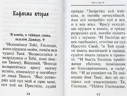 Псалтирь Карманный формат. Chiffre russe