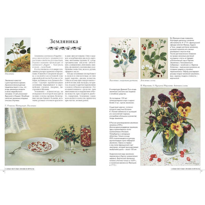 50.Самые вкусные овощи и фрукты