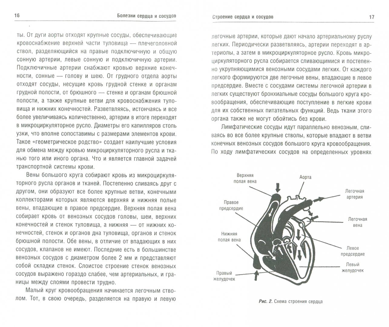 Болезни сердца и сосудов: Diagnostic, diagnostic, profil