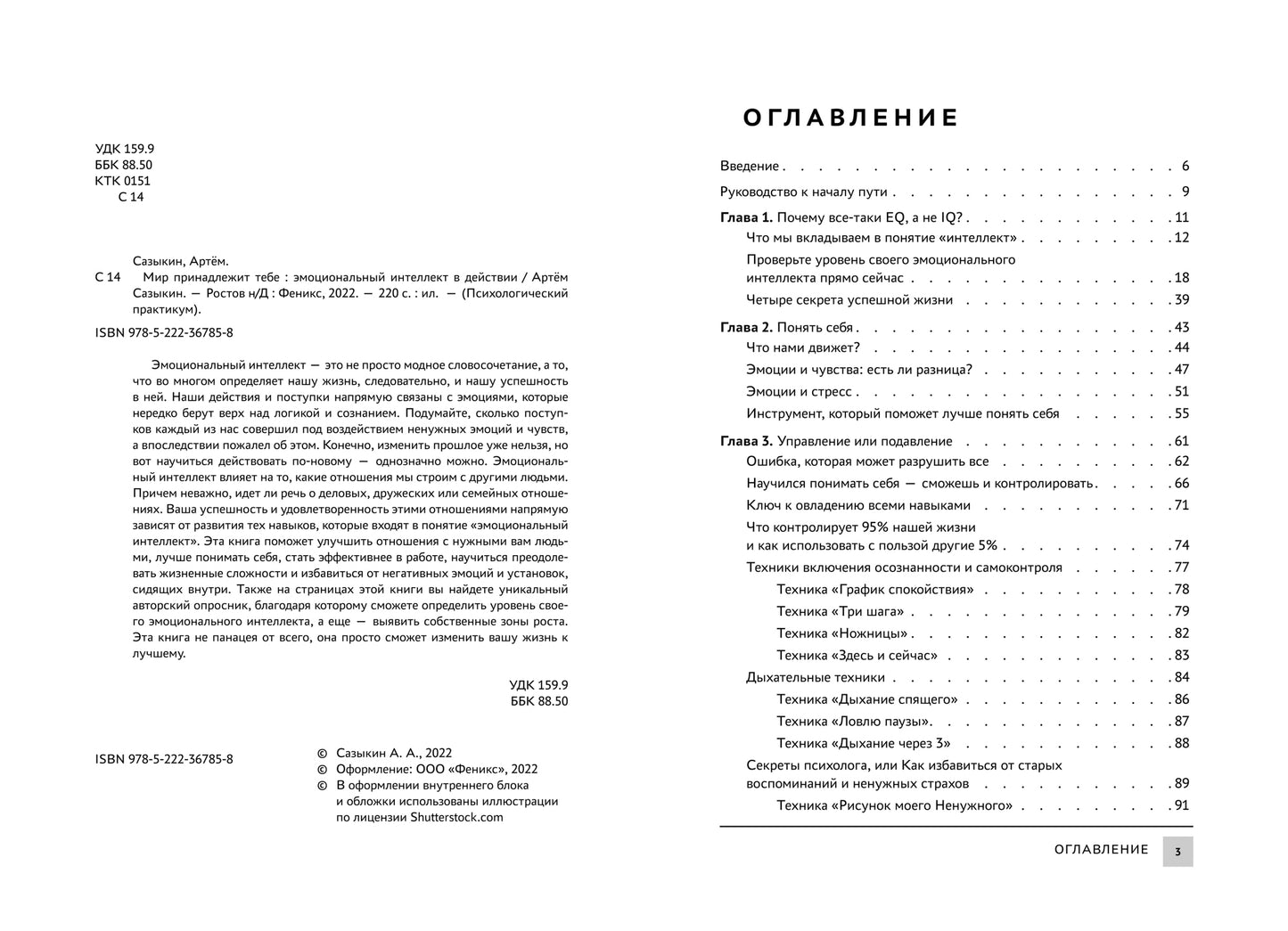 Мир принадлежит тебе: эмоциональный интеллект в действии