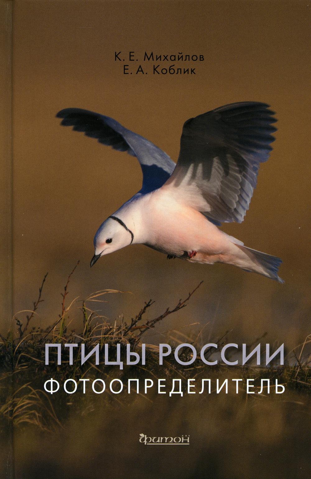Птицы России. Photographie