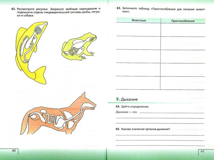 Биология. Жив. орг. 6кл [Р/т+ЕГЭ]Син. Вертикаль