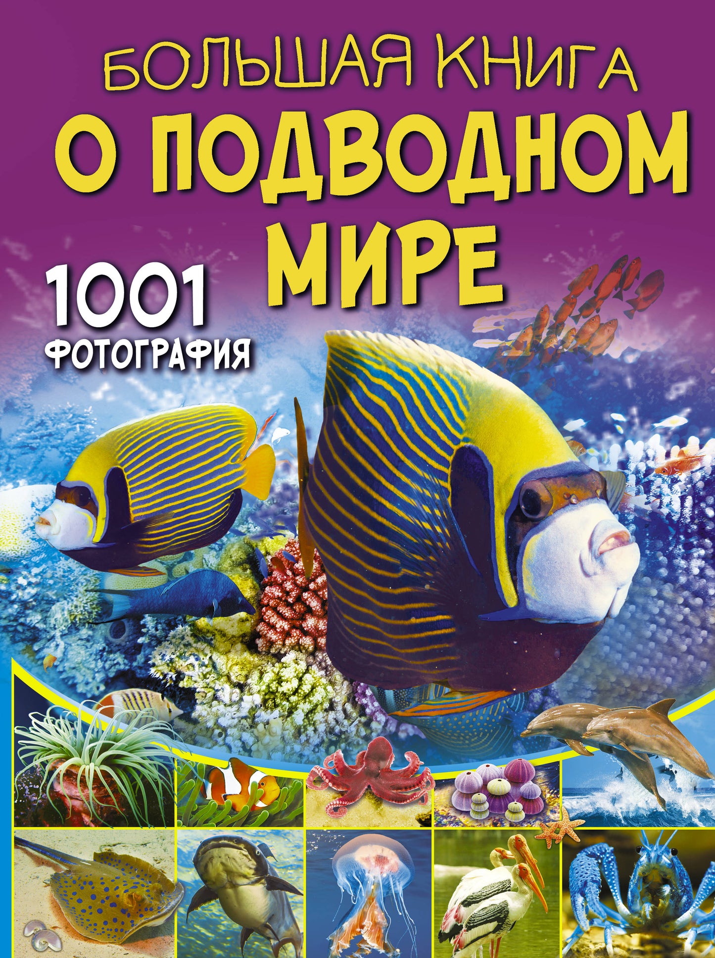 Un grand livre sur la boue. 1001 photographie