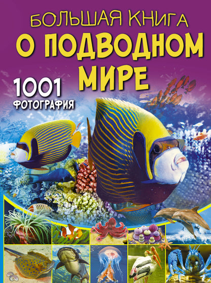 Un grand livre sur la boue. 1001 photographie
