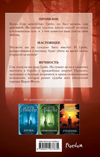 Волки из Мерси-Фоллз. Вечность (#3)