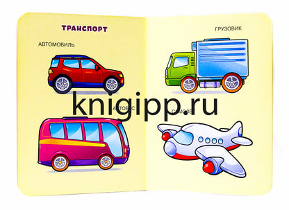 ЦК МИНИ. ПЕРВЫЕ СЛОВА