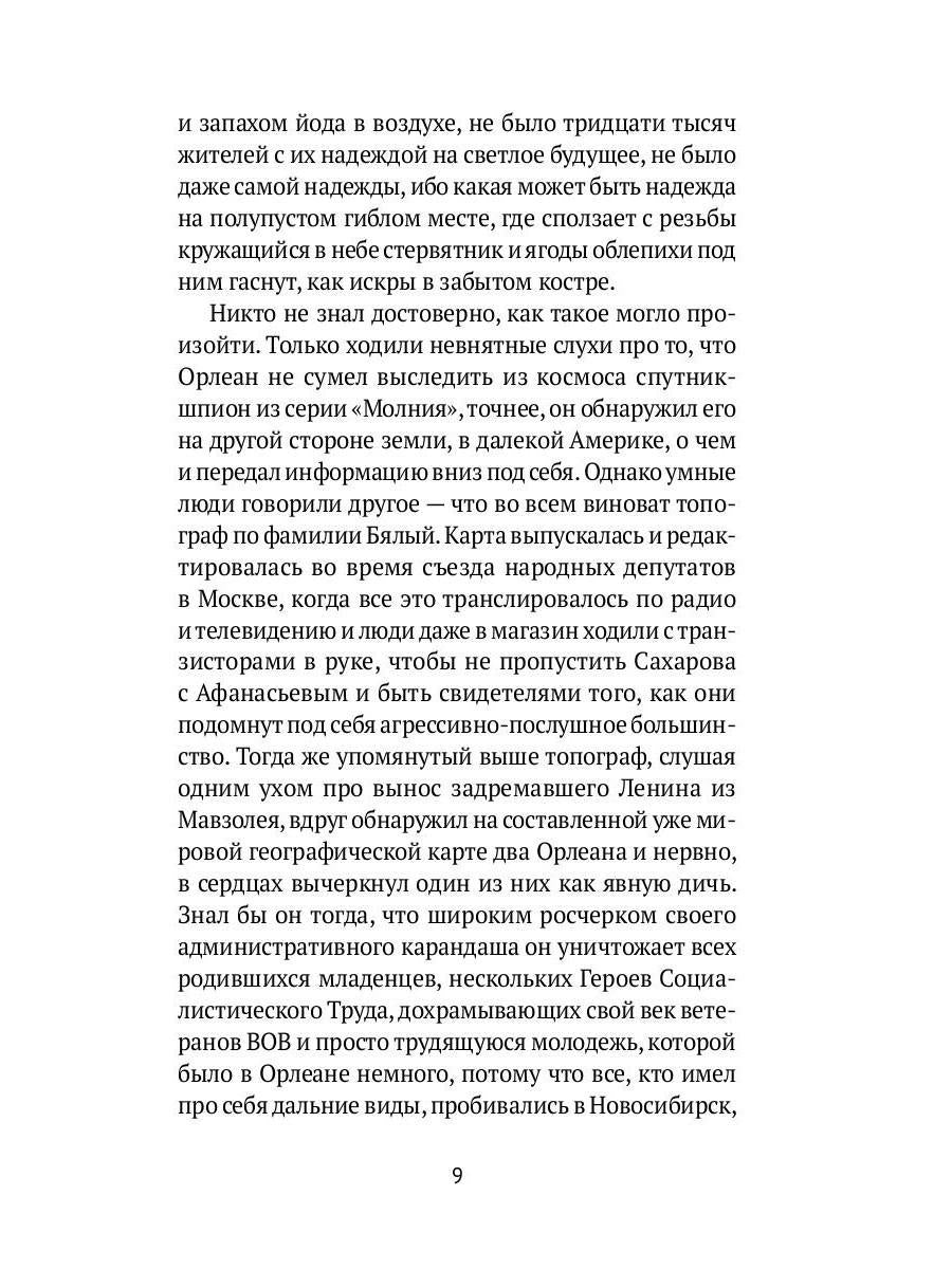Орлеан: роман