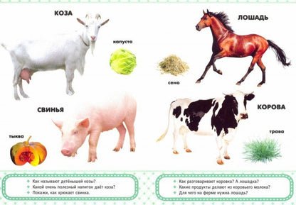КАРТОНКА 4 разворота. ДОМАШНИЕ ЛЮБИМЦЫ