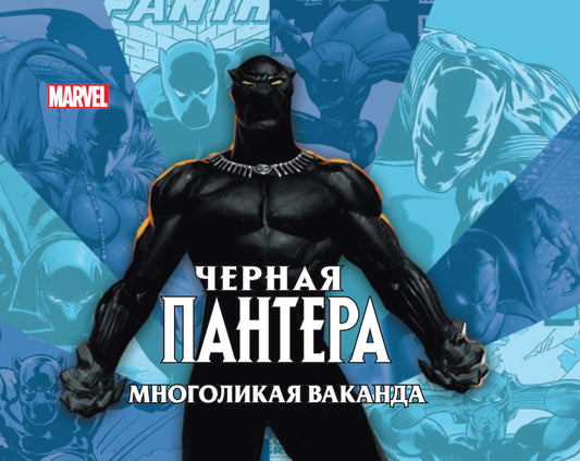 Чёрная пантера: многоликая Ваканда. Только факты.