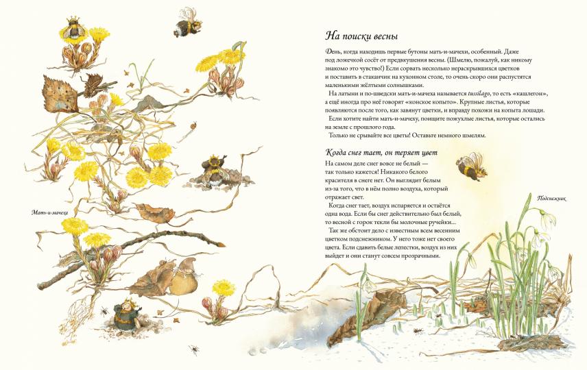 П.Цветочная книга шмеля