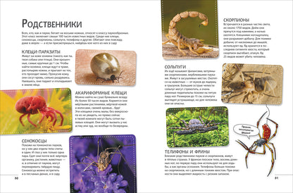 Невероятные насекомые. Иллюстрированная энциклопедия