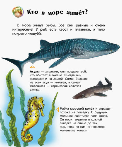 Енциклопедія дошкільника (нова): Океаны и моря (р)