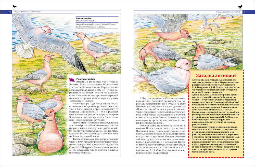 Красная книга России. Животные