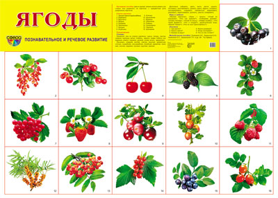 Plaque de démonstration "Ягоды"