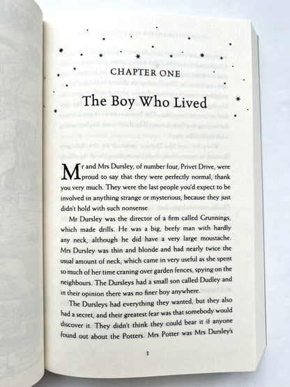 Harry Potter et la pierre philosophale JK Rowling Garri Potter et la star philosophale D.K. РоульING / Книги на английском языке
