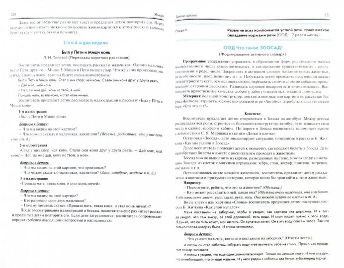 Réalisation de la réglementation générale. Младший возраст (3-4 ans). Речевое развитие. Художественно-эстетическое развитие. Практическое пособие. ФГОС ДО