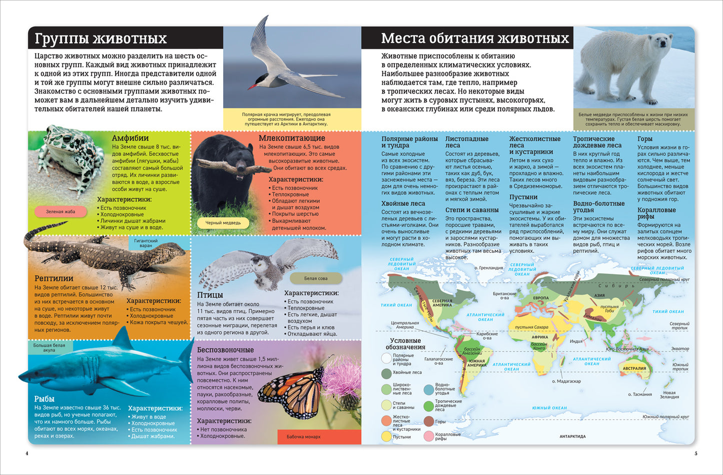 Atlas russe. Животные мира