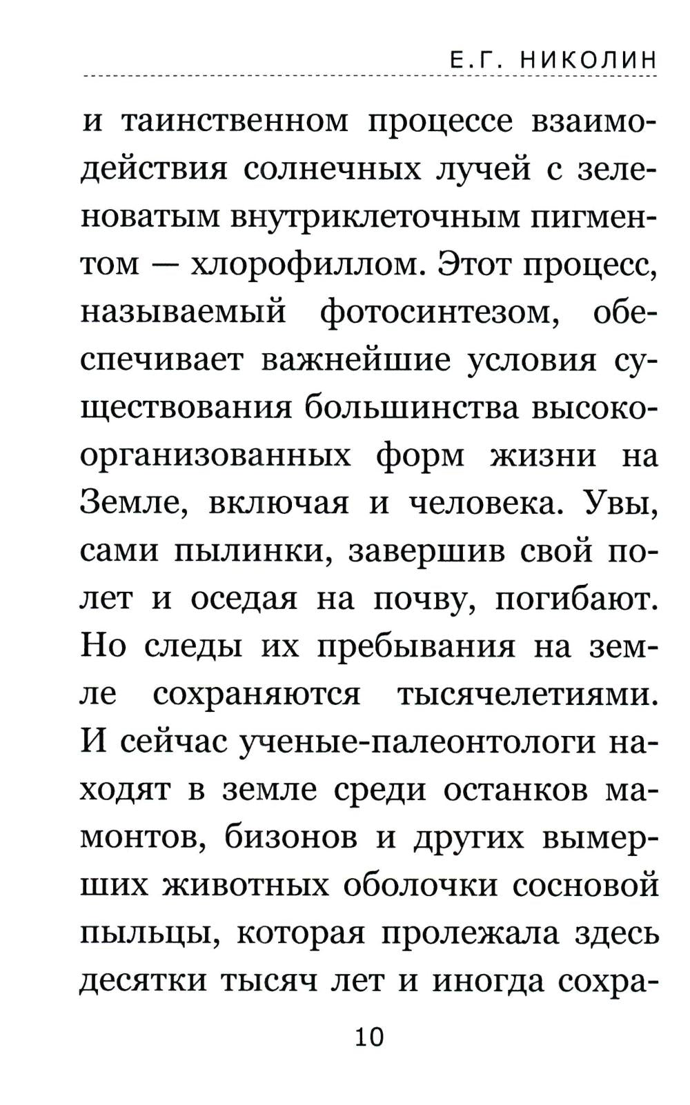 Тайны соснового леса