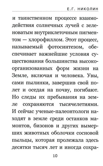 Тайны соснового леса